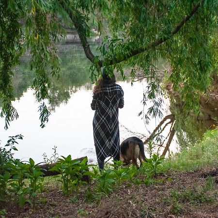 Villa Quinta da Lontra Tábua Esterno foto