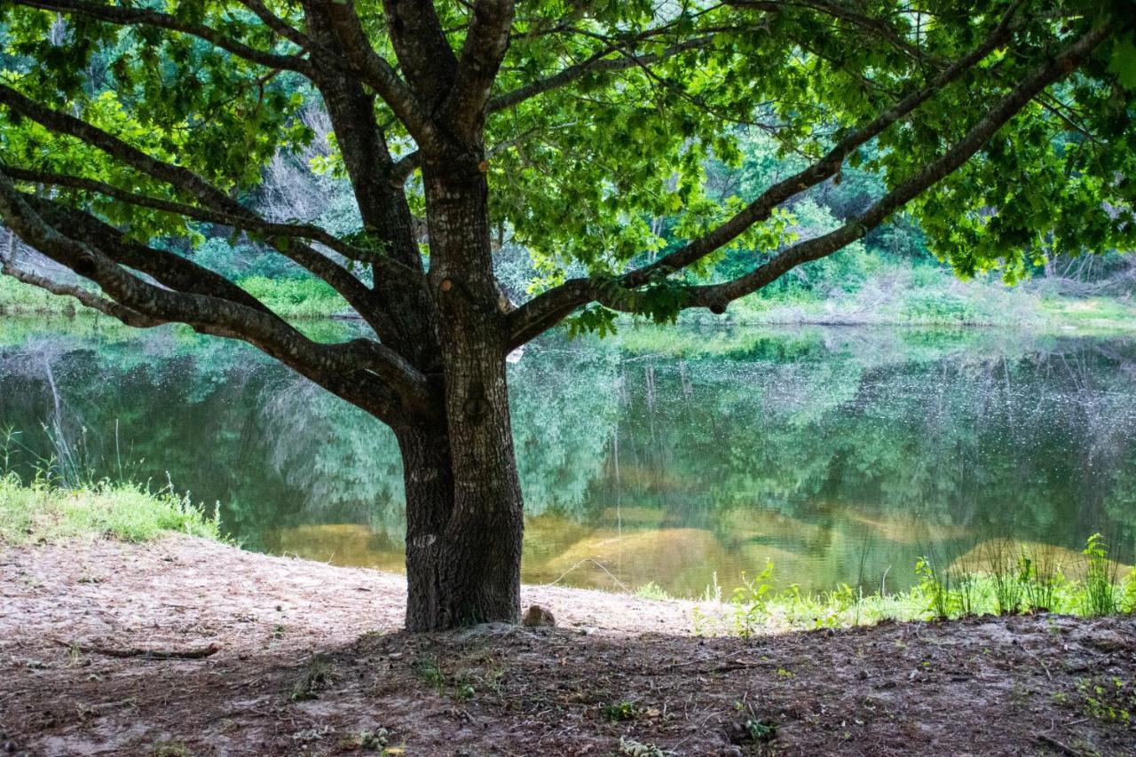 Villa Quinta da Lontra Tábua Esterno foto
