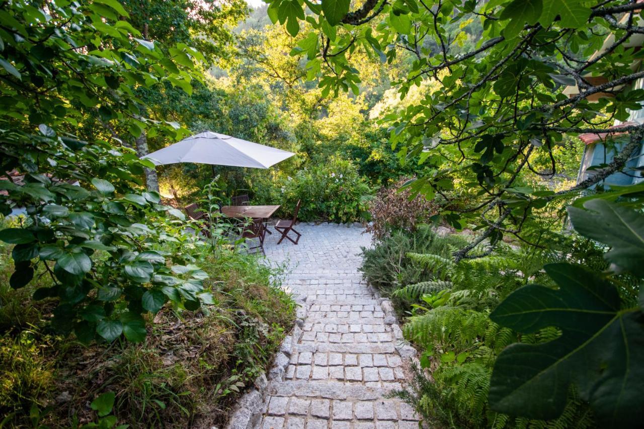Villa Quinta da Lontra Tábua Esterno foto