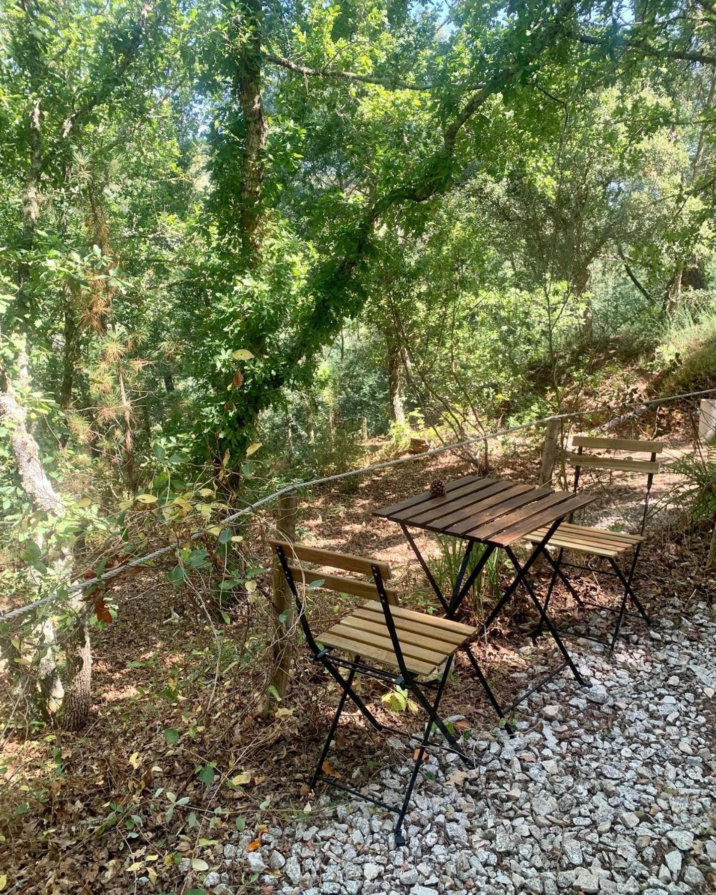 Villa Quinta da Lontra Tábua Esterno foto